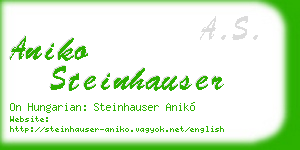 aniko steinhauser business card